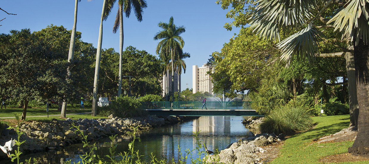 Pond overlooking bridge