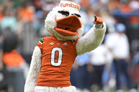 Sebastian the Ibis, the iconic Miami Hurricanes mascot