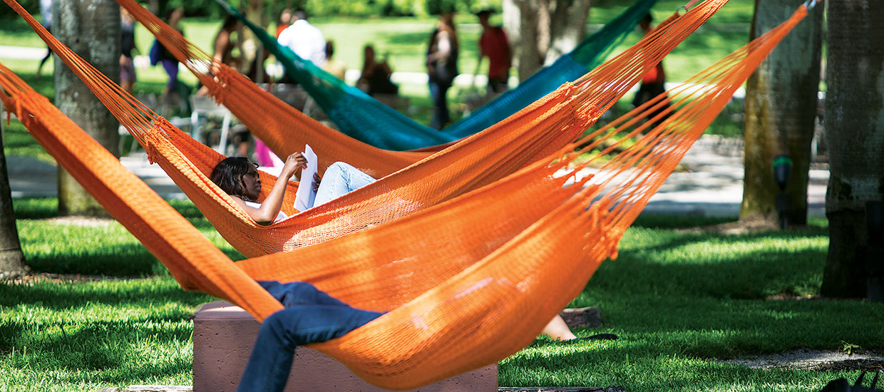 UM students studying in hammocks