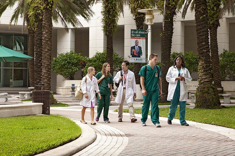 University students on the Miller School of Medicine campus